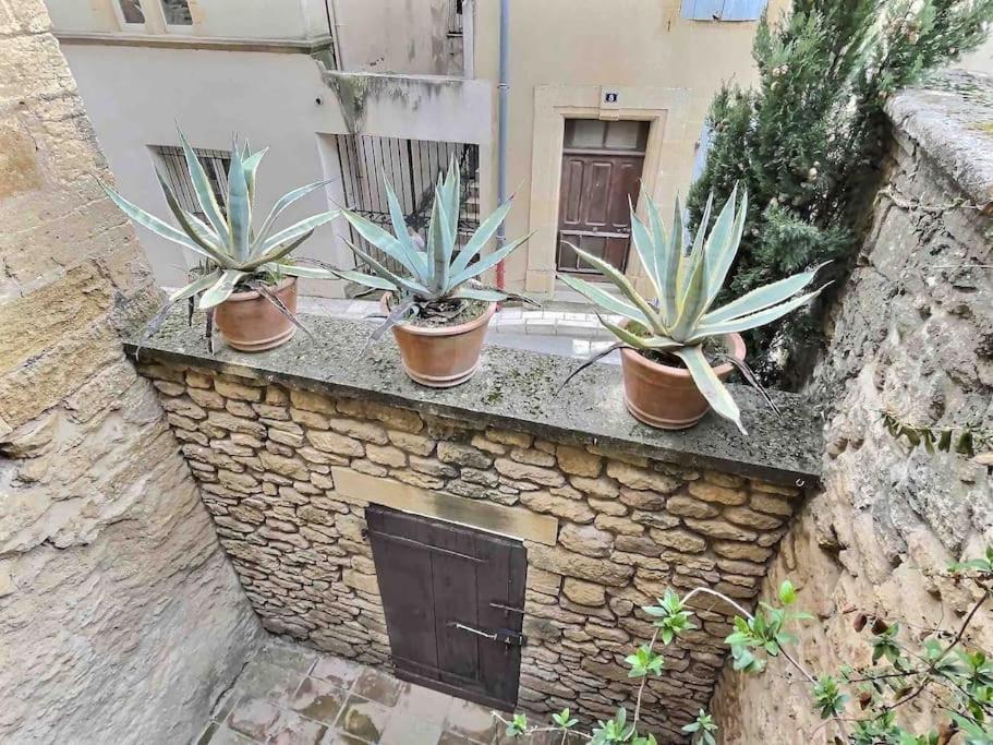 Chez Lydia - Loft Cosy, Depart Canoe A Pied, Proche Pont-Du-Gard Et Uzes Remoulins Exterior foto